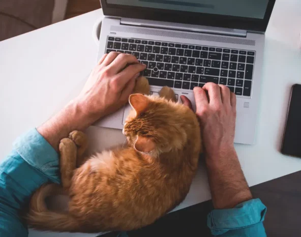 Another year of remote work? How to help employees beat the January blues