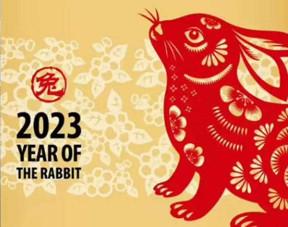 Be more rabbit!