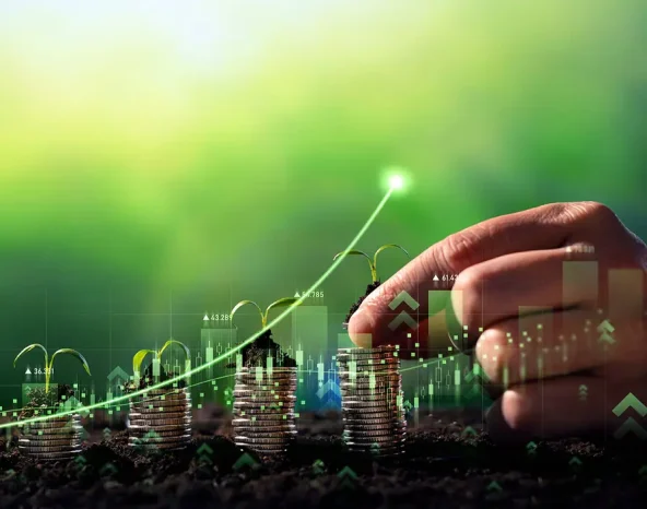 Can I be sustainable and make a profit