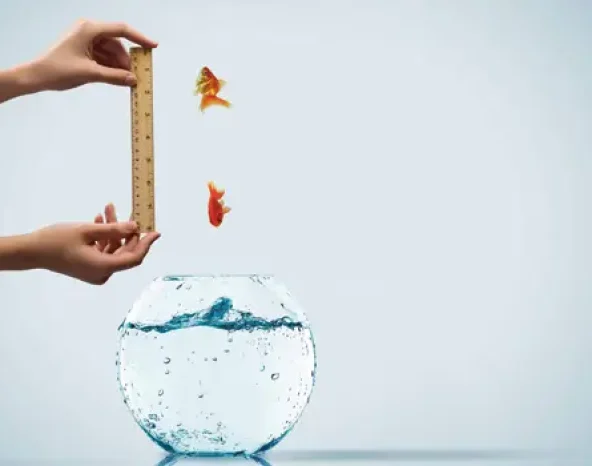 Data can help determine business success