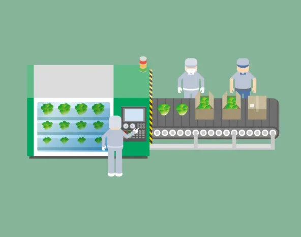 Five startups taking the food revolution forward