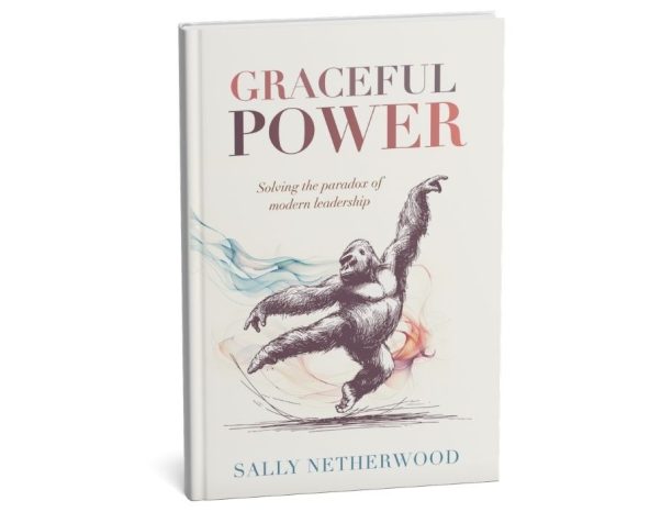The eye-catching image on the cover of this book is an intriguing illustration of what it takes to be a successful leader today – Graceful Power.