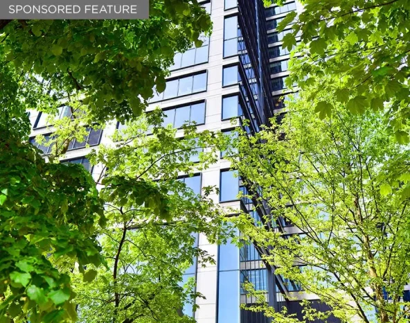 How SMEs can reach net zero: A practical guide for small businesses