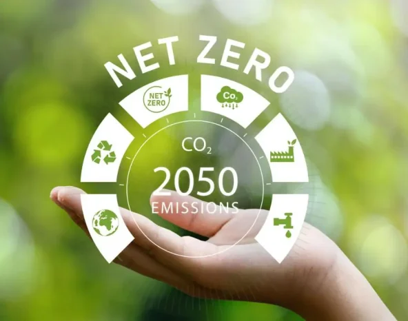 Is net-zero by 2050 a pipe dream?