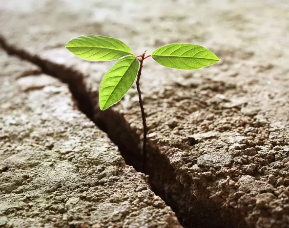 New chapter for small businesses will be borne out of the conditions we face today