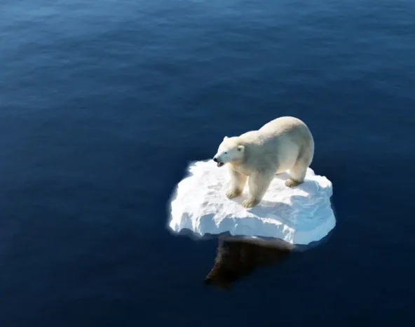 The business of battling climate change