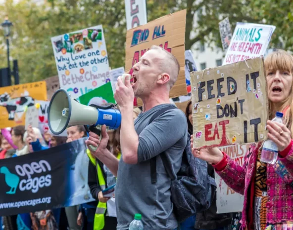 Vegans deemed “weird” as they get “harassed at work” by peers and bosses
