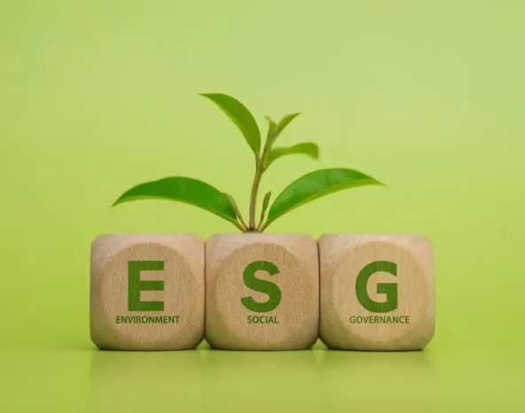 Can SMEs forget about ESG, and should they?