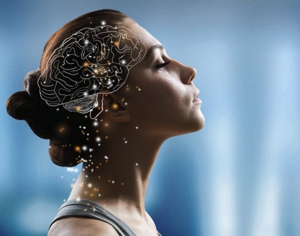 Dr Alka Patel explains how CEOs can protect their most valuable asset, the brain, by measuring cognition and underlying biology.