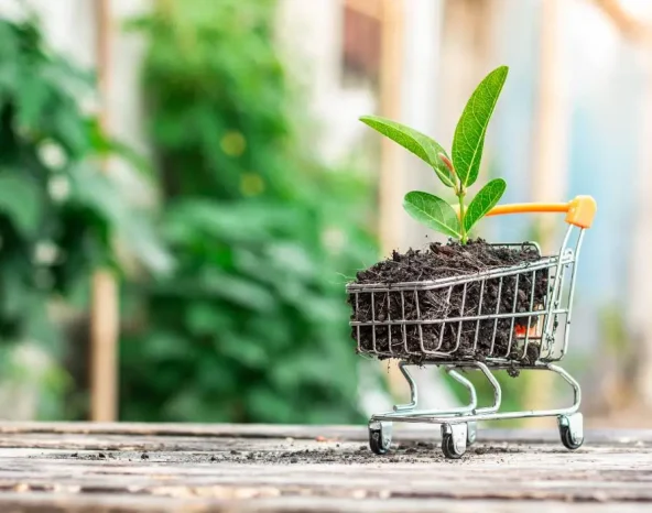 eCommerce business during a recession